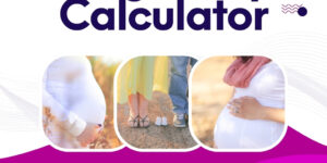 Pregnancy Calculator