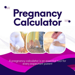 Pregnancy Calculator